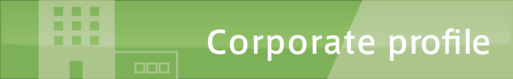 Corporate rrofile